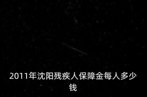 沈陽市殘疾人保障金如何計算，2011年沈陽殘疾人保障金每人多少錢