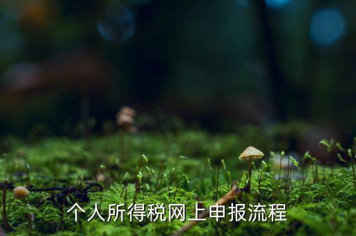 如何網(wǎng)上申請(qǐng)個(gè)稅，個(gè)人所得稅網(wǎng)上申報(bào)流程