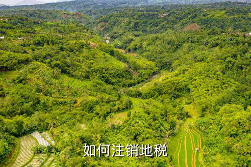 如何注銷地稅，如何注銷地稅