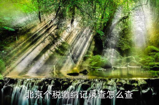 北京如何查詢個人繳稅記錄，北京個稅繳納記錄查怎么查