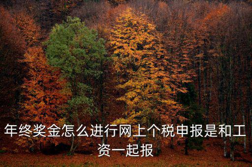 年終獎個稅如何申報，年終獎怎樣申報個稅