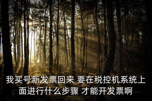 稅控系統(tǒng)如何開票，我買號新發(fā)票回來 要在稅控機系統(tǒng)上面進行什么步驟 才能開發(fā)票啊