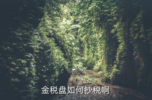 金稅盤如何抄報稅，金稅盤如何抄稅啊