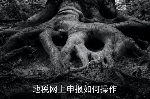 地稅網(wǎng)如何申報(bào)，地稅網(wǎng)上申報(bào)如何操作