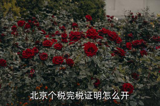 北京如何打印個(gè)人所得稅完稅證明，北京個(gè)稅完稅證明怎么開