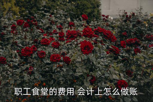 公司食堂費(fèi)用如何入賬，職工食堂費(fèi)用如何入賬