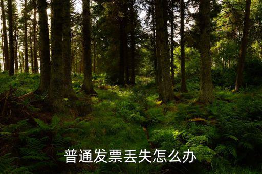 普票發(fā)票聯(lián)丟失如何入賬，企業(yè)開(kāi)具的增值稅普通發(fā)票記賬聯(lián)丟失怎么處理