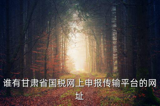 誰有甘肅省國(guó)稅網(wǎng)上申報(bào)傳輸平臺(tái)的網(wǎng)址