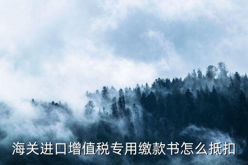 海關(guān)進口增值稅專用繳款書怎么抵扣