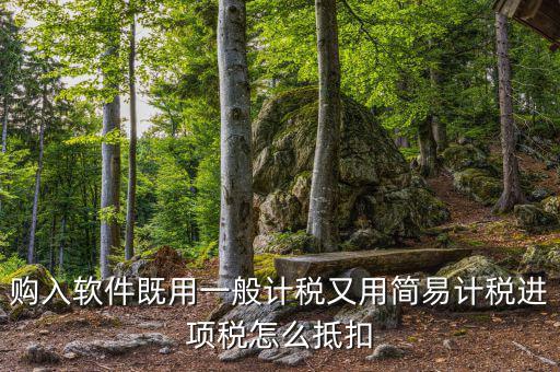購入軟件既用一般計(jì)稅又用簡易計(jì)稅進(jìn)項(xiàng)稅怎么抵扣