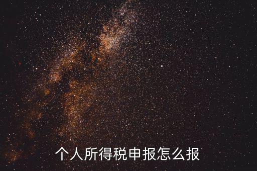 個人所得稅申報怎么報