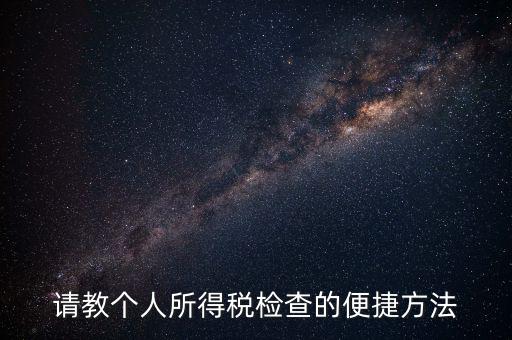 請教個人所得稅檢查的便捷方法