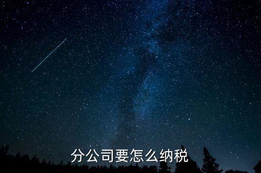 分支機(jī)構(gòu)如何納稅，分支機(jī)構(gòu)增值稅怎樣繳納