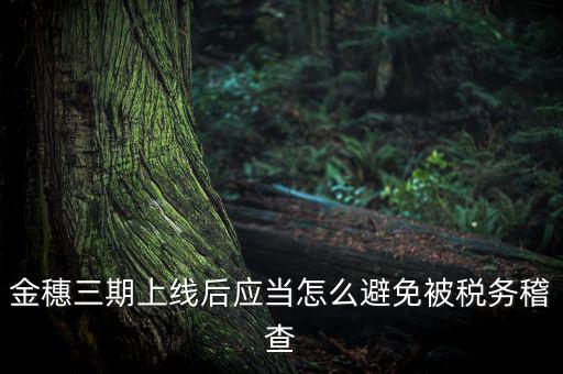 金稅三期如何防稽查，那如何預(yù)防稅局的稽查呢