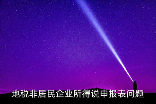 扣繳非居民所得稅報(bào)告表指什么，扣繳個(gè)人所得稅報(bào)告表30