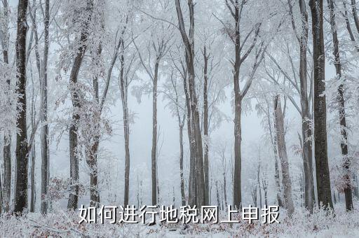 地稅如何進(jìn)行網(wǎng)上申報，如何進(jìn)行地稅網(wǎng)上申報