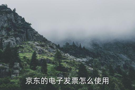 電子發(fā)票如何用，電子客票如何用