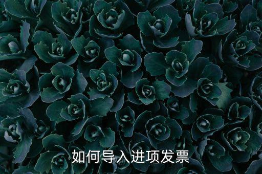 如何導(dǎo)入發(fā)票，如何導(dǎo)入進(jìn)項(xiàng)發(fā)票