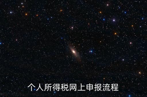 個(gè)人所得稅網(wǎng)上申報(bào)流程