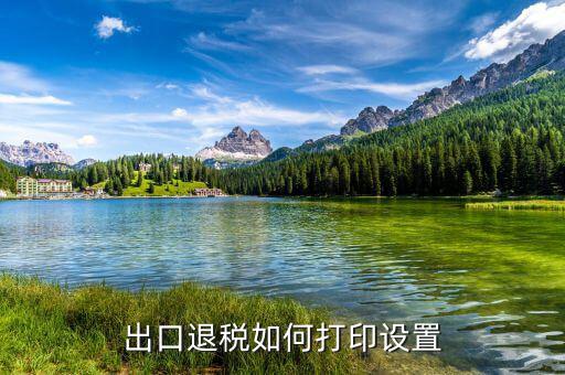 如何打印出口退稅備案表，出口退稅系統(tǒng)內(nèi)的增值稅申報(bào)表如何打印