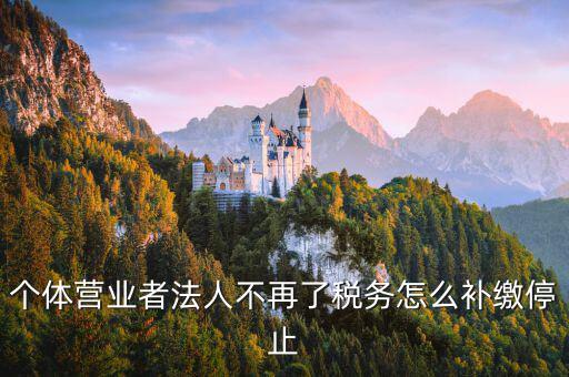 個(gè)體戶如何補(bǔ)交固定稅，個(gè)體戶地稅怎么補(bǔ)交未進(jìn)行地稅申報(bào)現(xiàn)補(bǔ)交稅款還要被罰款三倍嗎