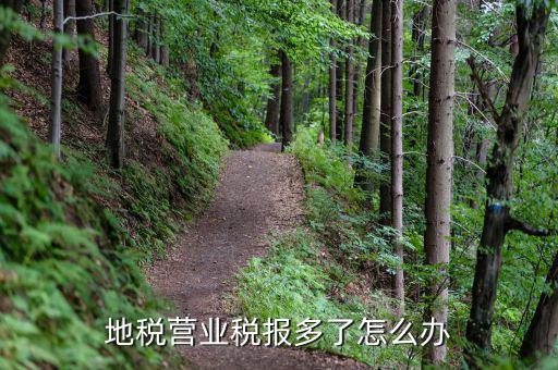 營(yíng)業(yè)稅多交了如何處理，營(yíng)業(yè)稅改征增值稅后多交的營(yíng)業(yè)稅怎么辦交增值稅了不繳納營(yíng)業(yè)
