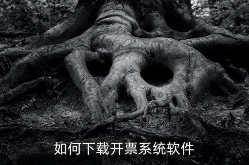 發(fā)票軟件如何下載軟件，怎么安裝稅控發(fā)票開(kāi)票軟件v20
