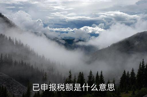 武漢稅務年報是什么意思，報告年度所得稅什么意思