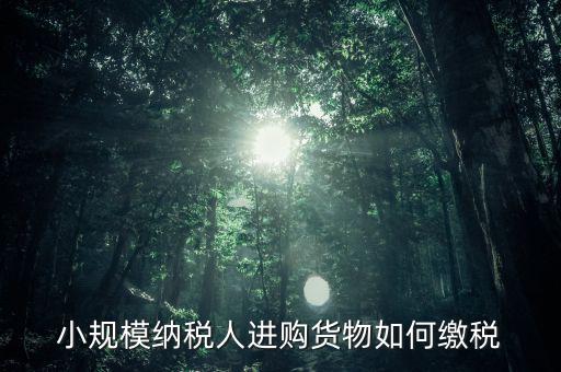 小規(guī)模納稅人如何交稅，小規(guī)模納稅人進購貨物如何繳稅