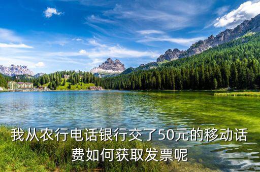 湖北移動電子發(fā)票如何獲取，中國移動手機帳單電子發(fā)票怎么樣下載