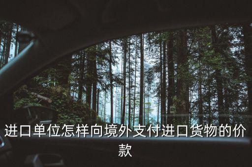 企業(yè)如何境外付款嗎，進(jìn)口單位怎樣向境外支付進(jìn)口貨物的價(jià)款