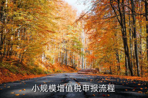 小規(guī)模納稅人 如何申報(bào)，小規(guī)模增值稅申報(bào)流程