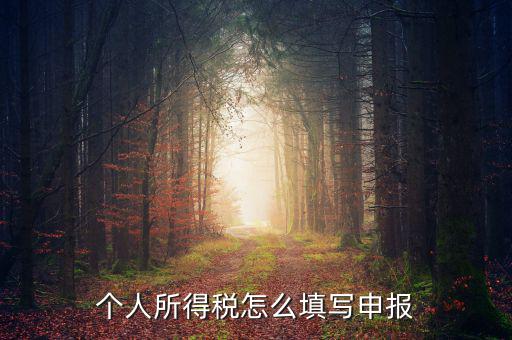 單位如何申報(bào)個(gè)人所得稅，個(gè)人所得稅 工資薪金所得 怎么申報(bào)