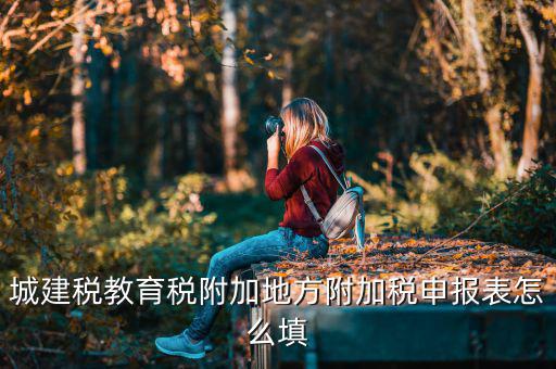 新城建稅附加表如何填，網(wǎng)上申報(bào)城建稅教育附加稅怎么填