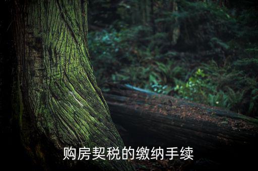 如何繳納契稅，購房契稅的繳納手續(xù)