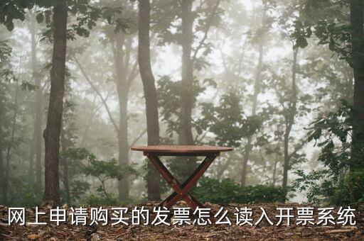 網(wǎng)上領(lǐng)票如何讀入，網(wǎng)上申請(qǐng)購(gòu)買(mǎi)的發(fā)票怎么讀入開(kāi)票系統(tǒng)