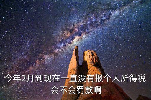 個稅申報不報會如何，個人所得稅自行申報不去做有什么危害