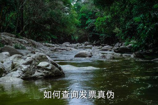 發(fā)票查驗結果窗口如何，增值稅專用發(fā)票認證后的結果在網(wǎng)上可以查到嗎如果可以查詢請