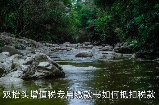 代理進(jìn)口雙抬頭增值稅如何抵扣，海關(guān)稅單雙抬頭 增值稅抵扣問題