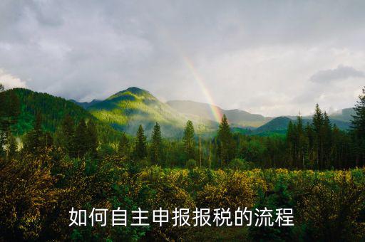 如何進(jìn)行稅務(wù)申報，個體戶如何申報稅