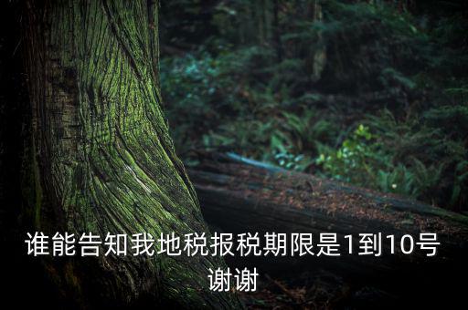 地稅的報稅期是什么時候，地稅中的年度財務報表申報期限是什么時候