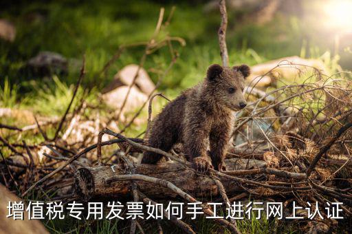 如何手工認證發(fā)票，網(wǎng)上發(fā)票認證怎么手工輸入