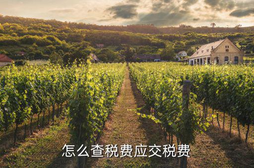 如何查詢已繳稅款，用友具體項目已交稅金在哪里查詢