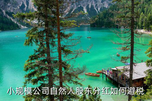 法人股東分紅如何避稅，小規(guī)模公司自然人股東分紅如何避稅