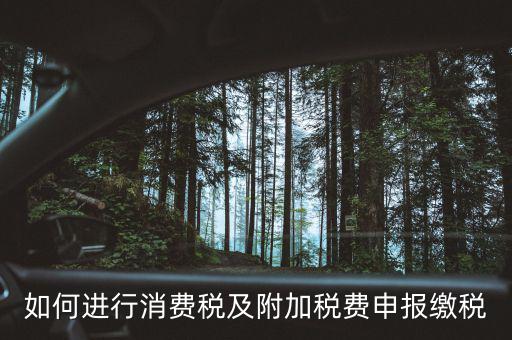 附加稅如何才能申報，如何進行消費稅及附加稅費申報繳稅