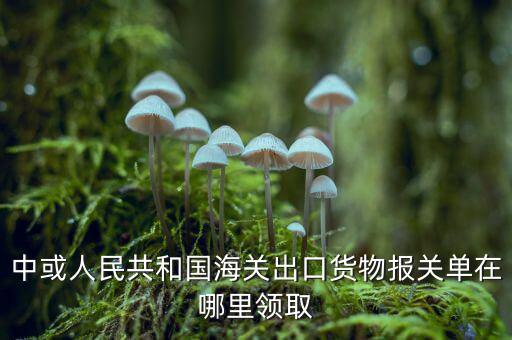 出口報關(guān)單如何取得，中或人民共和國海關(guān)出口貨物報關(guān)單在哪里領(lǐng)取