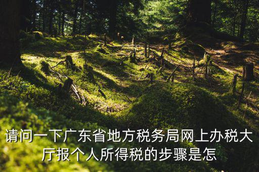 廣州地稅如何網(wǎng)上申報(bào)，想請(qǐng)教如何辦理廣州地稅網(wǎng)上申報(bào)