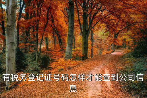 如何查詢公司稅務(wù)信息，怎么用稅證號碼查詢企業(yè)信息