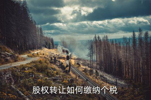 股權(quán)轉(zhuǎn)讓如何交稅，股權(quán)轉(zhuǎn)讓如何繳納個(gè)稅