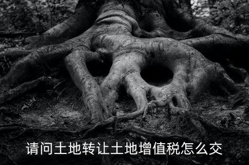 土地增值稅如何繳納，請(qǐng)問土地轉(zhuǎn)讓土地增值稅怎么交